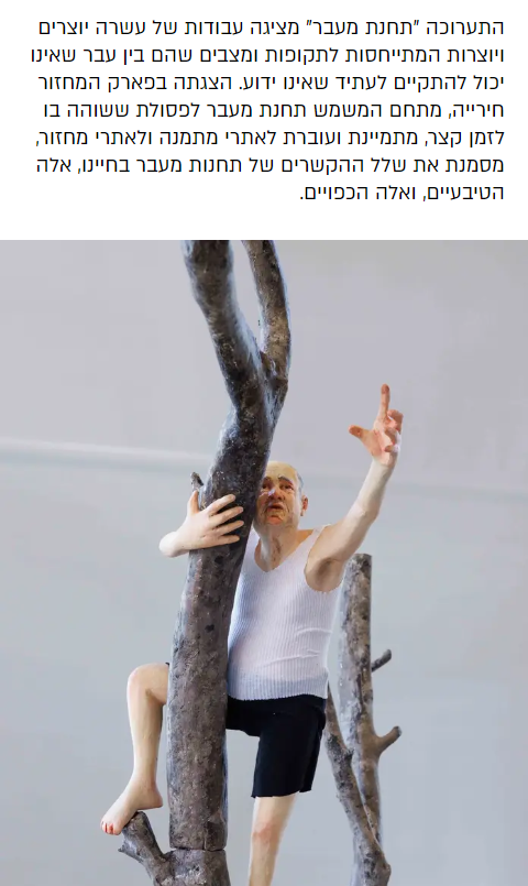 וואלה | דצמבר 23