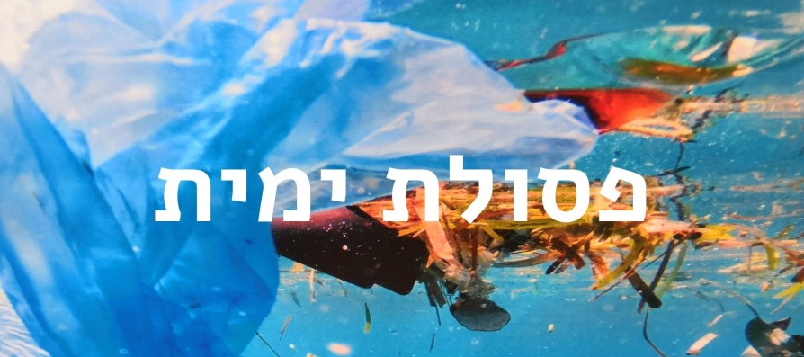עקבות בחול | זיהום ופסולת ימית