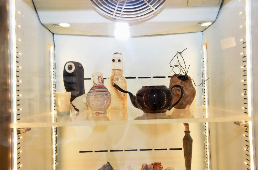 ״שלא ירבה המלך סוסים לעצמו״ ניהאד דביט, 2021