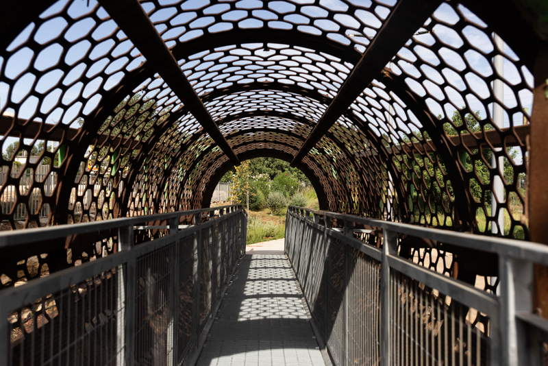 דפנה טלמון 1