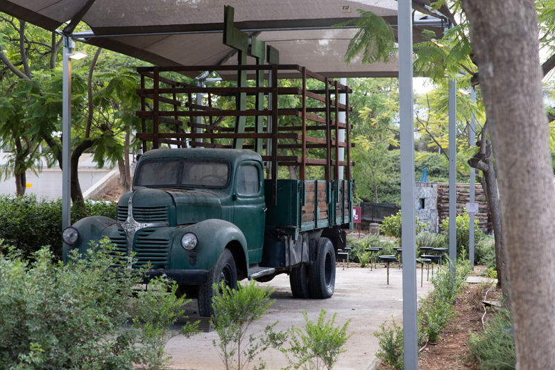 דפנה טלמון 2